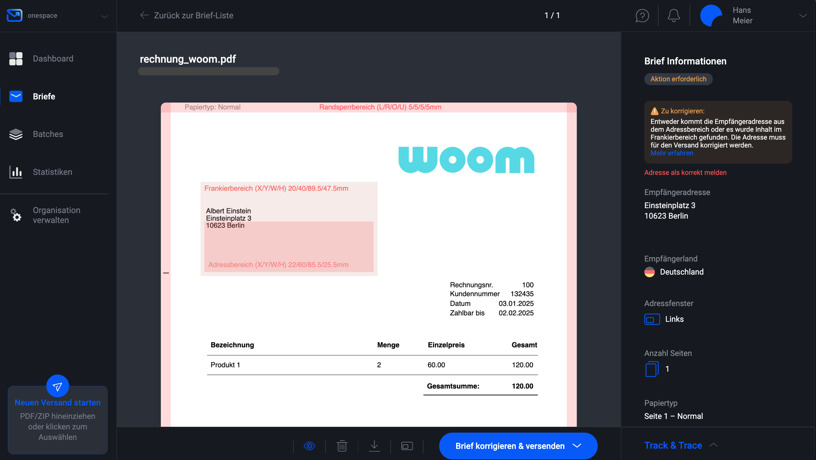 Pingen WebApp zeigt den Dokumentvalidierungsprozess