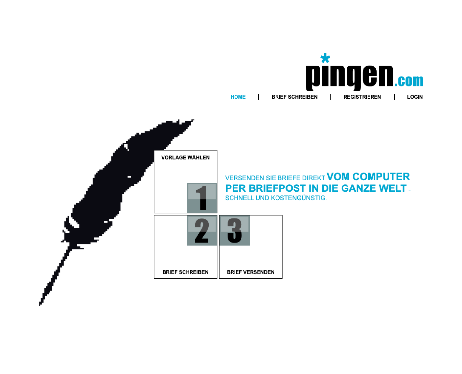 Pingen first website design